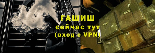 индика Володарск