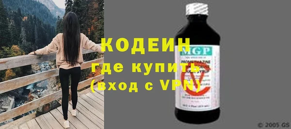 индика Володарск