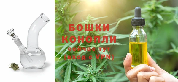индика Володарск