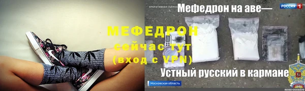 индика Володарск