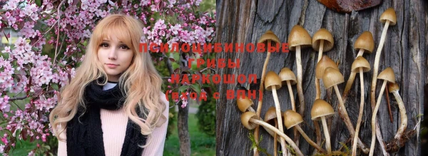 индика Володарск
