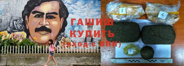 индика Володарск