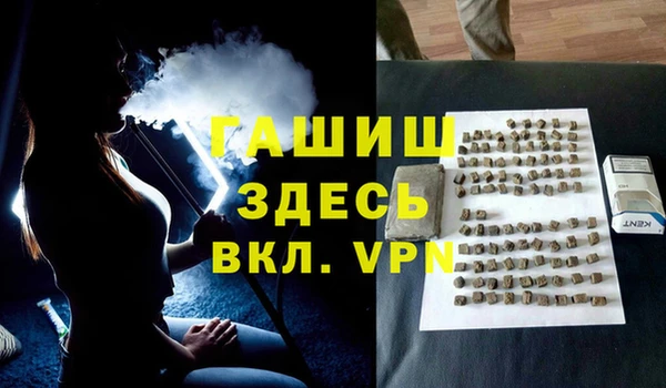 индика Володарск