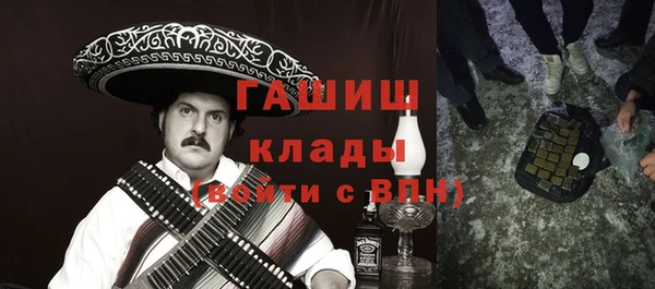 индика Володарск