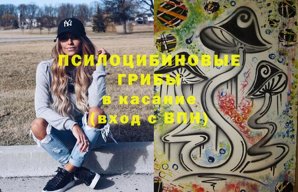 индика Володарск